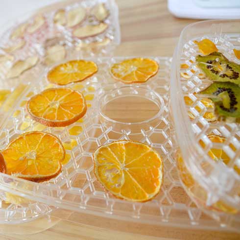 自家製ジャーキーメーカー ビーフジャーキー ドライフルーツ 食品乾燥機 サンコー