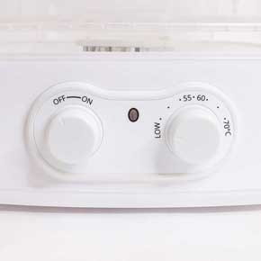 自家製ジャーキーメーカー ビーフジャーキー ドライフルーツ 食品乾燥機 サンコー