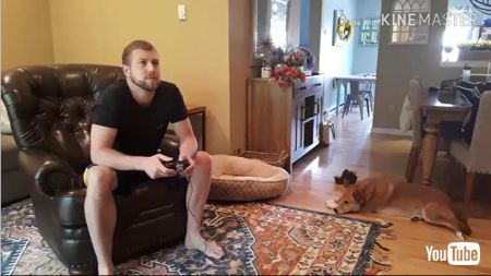 遊んでほしいわんこ