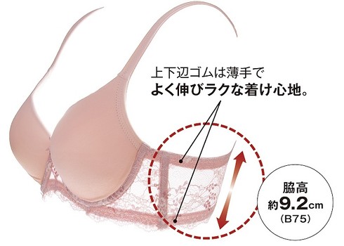 ディノスセシール洗濯機で洗えるブラ