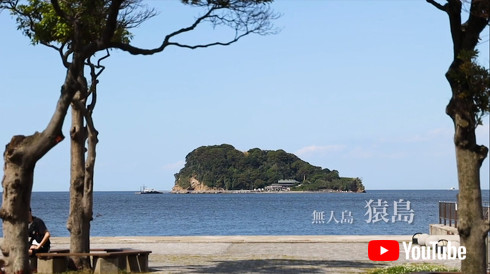 楽天 西友 ドローン配送サービス