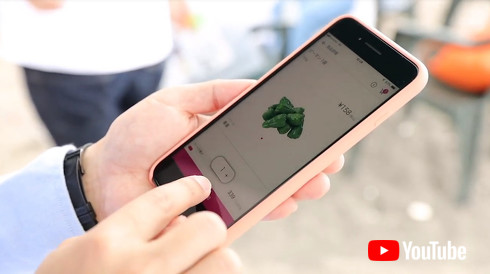 楽天 西友 ドローン配送サービス