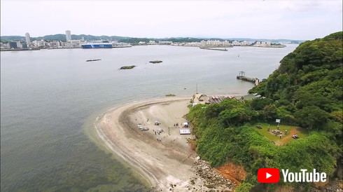 楽天 西友 ドローン配送サービス