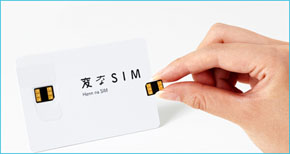 変なSIM