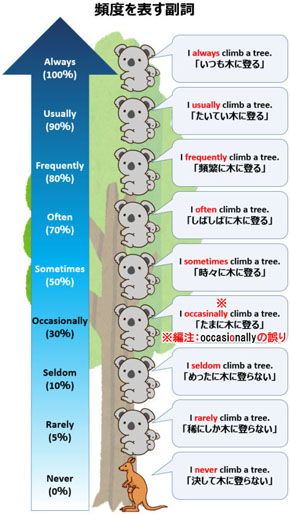 頻度を表す副詞