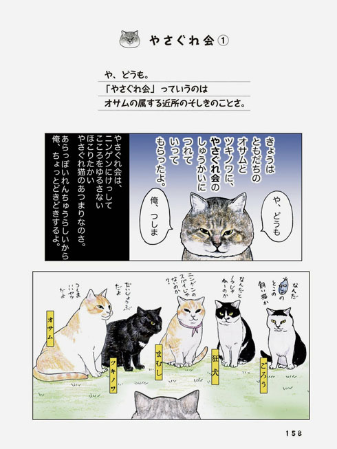 俺、つしま 猫 漫画 2巻 単行本 テルオ