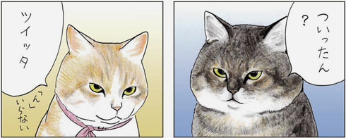 俺、つしま 猫 漫画 2巻 単行本 テルオ