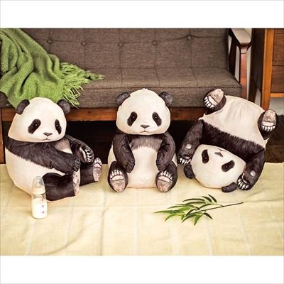 パンダのランチボックスセット