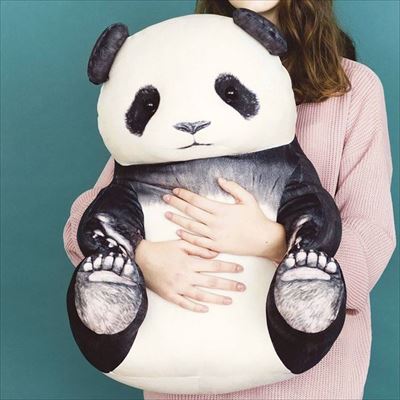 パンダのランチボックスセット