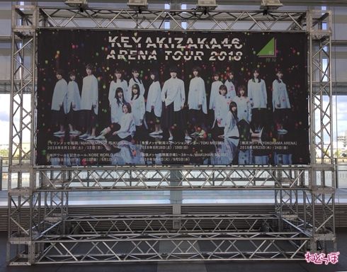 欅坂46 グランジ 平手友梨奈 遠山大輔