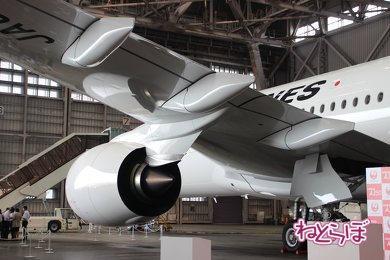 JAL エアバスA350
