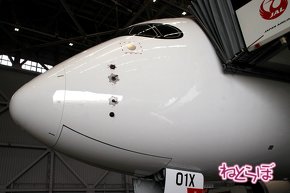 JAL エアバスA350