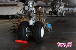 JAL エアバスA350