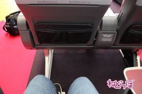 JAL エアバスA350