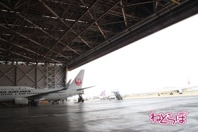 JAL エアバスA350