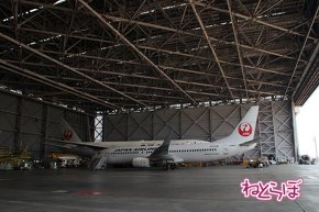 JAL エアバスA350