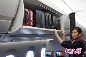 JAL エアバスA350