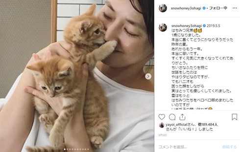 石田ゆり子 ばぶお 猫 どうなった 逝去