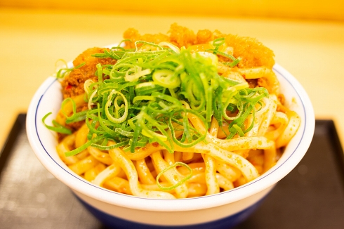 カレーうどんカツ丼