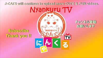 にゃんくるTV