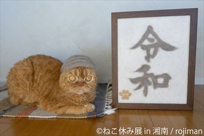 ねこ休み展 湘南