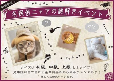 ねこ休み展 湘南