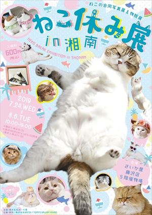 ねこ休み展 湘南