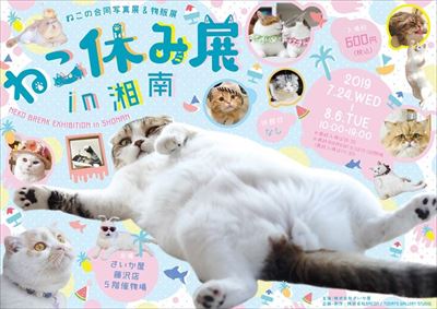 ねこ休み展 湘南