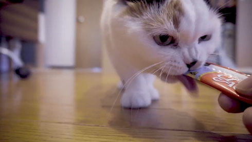 流しそうめんギター