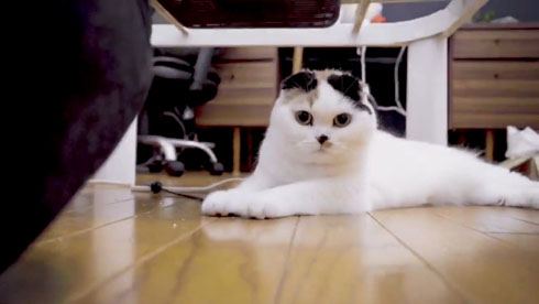 流しそうめんギター