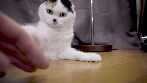 流しそうめんギター