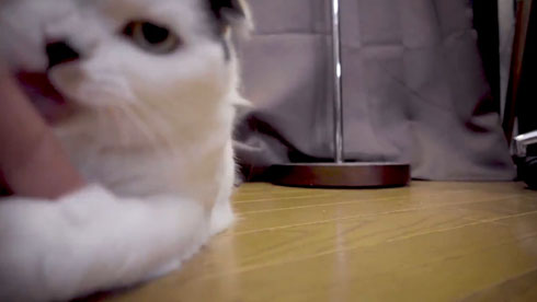 流しそうめんギター