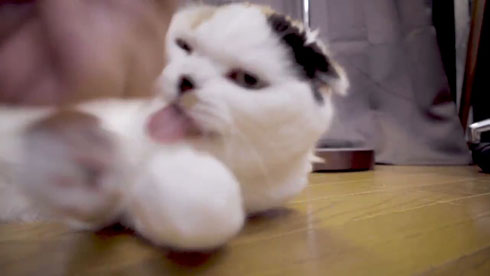 流しそうめんギター