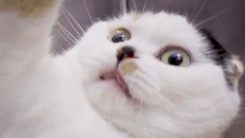 流しそうめんギター