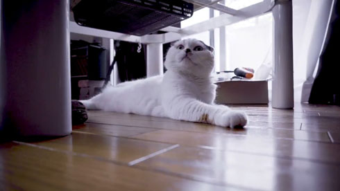 流しそうめんギター