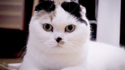 流しそうめんギター