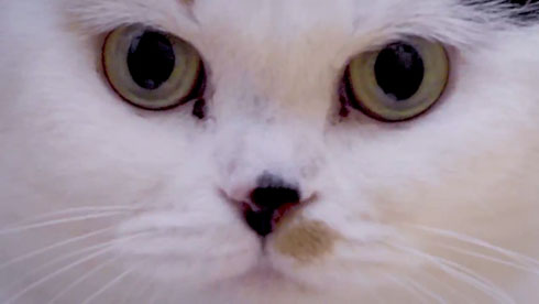 流しそうめんギター