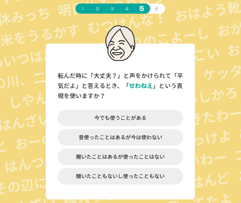 県人度 判定 質問 東京女子大学篠崎ゼミ ジャパンナレッジ 方言チャート 番外編