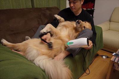 ワンにゃん家計簿