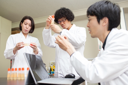 アラビックヤマト 無限 プチプチ 感触