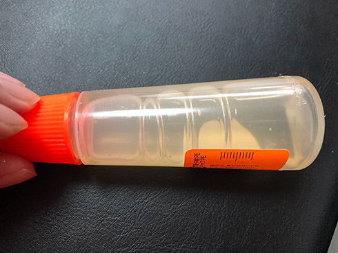 アラビックヤマト 無限 プチプチ 感触