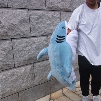 サメ抱き枕