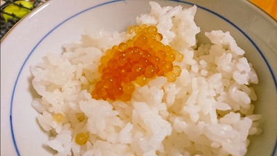 タピオカでいくら