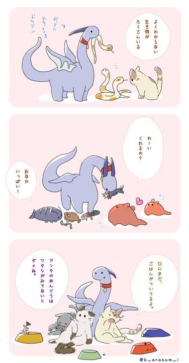 拾ってくるドラゴン