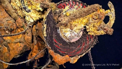 摩耶 沈潜捜索 日本海軍 戦艦 RV/Petrel