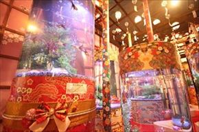 大江戸温泉金魚物語