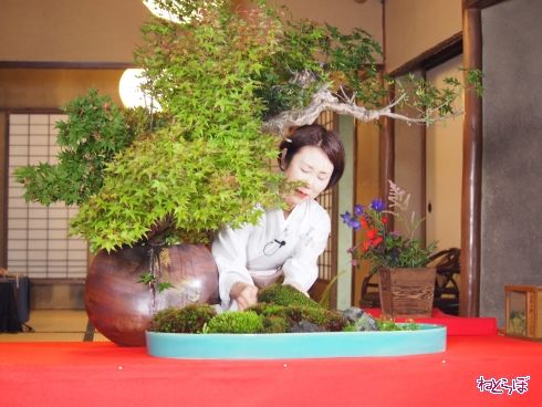 京都 嵯峨野 観光 嵐山