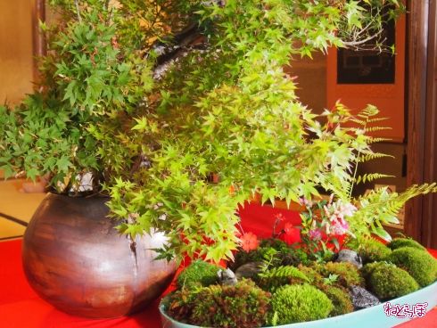 京都 嵯峨野 観光 嵐山