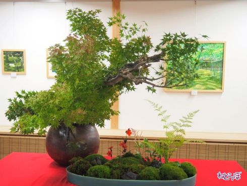 京都 嵯峨野 観光 嵐山