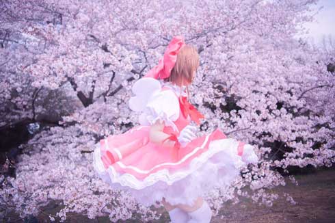 カードキャプターさくら グッズ 収集数 日本人 しらほしなつみ ギネス 認定